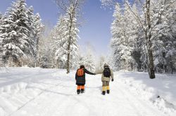 Bild Winter Wandern im Schnee